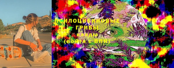 скорость Бородино
